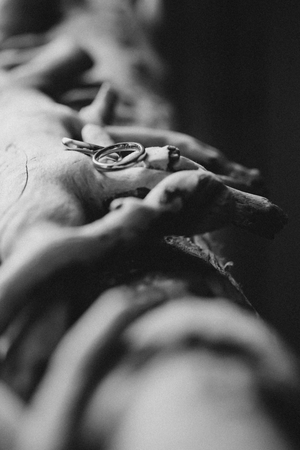 Exclusive Wedding on Pianosa Island