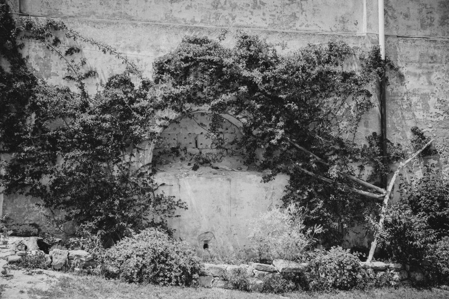 Exclusive Wedding on Pianosa Island